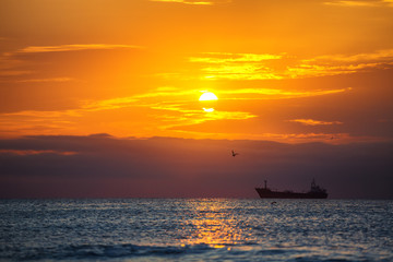 Fototapeta na wymiar Scenic sunrise over the sea. Flying birds and sailing cargo ship