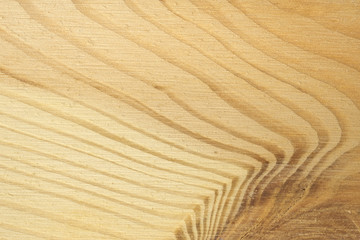 Pine tree texture. Wood background, light natural pattern