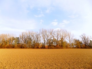 Plowed field and forest in autumn