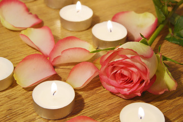 rose with candle light  