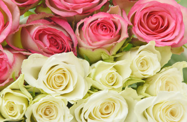 pink and white  roses on the wooden table.
pink and white flower for a special day