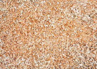 Wood sawdust