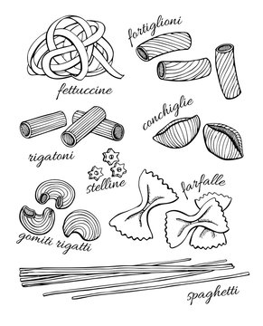 Vector hand drawn pasta set. Vintage line art illustration.