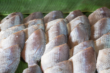 Fresh fish in the fish market