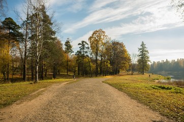 Autumn landscape with golden trees and falling leaves