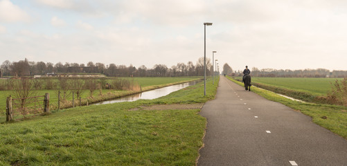 Female horseback rider on a long country road