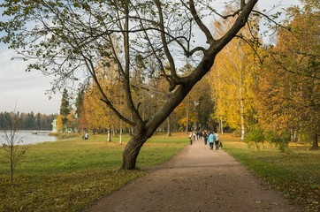 Tourists visit Palace park of Gatchina
  