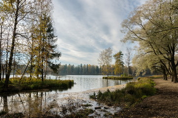 Autumn landscape with trees near the water in surrounding area of Saint-Petersburg
