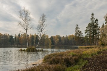 Autumn landscape with trees near the water in surrounding area of Saint-Petersburg

