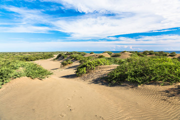 Dune on Beach at Sunset