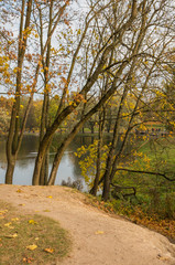 Autumn landscape with trees near the water in surrounding area of Saint-Petersburg