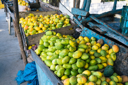 Open air fruit market in the village, Bani, Dominican Republic