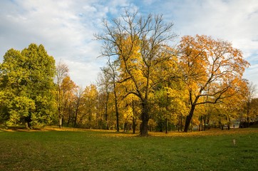 Naklejka premium Silver Meadow in the Gatchina рark 