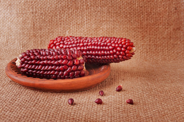 Browny Red Corncobs on the Sackcloth