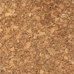 Vector cork wood texture background