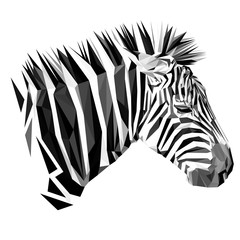 Zebra animal low poly design. Triangle vector illustration.