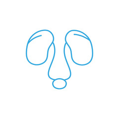 Female reproductive system. Medical icon. Health care