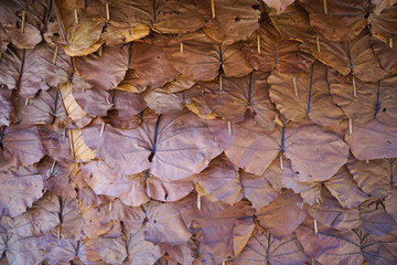 pattern dry leaf roof