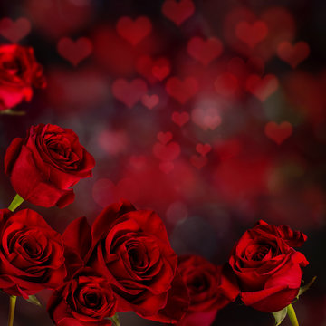 Valentine red roses Background.