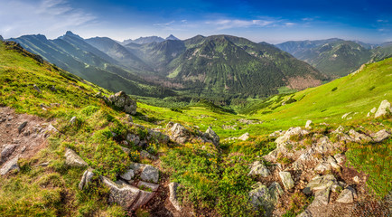Panorama of dawn in the mountains in summer