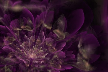 Violet fractal flower on dark background