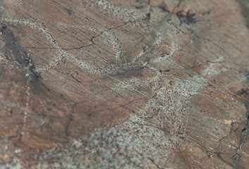 Rock paintings