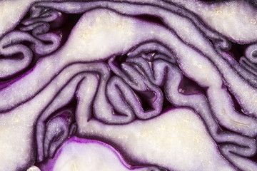 background of cut red cabbage, abstraction