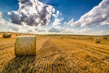 Golden sheaf of hay at sunny day © shaiith