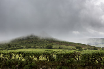 Dartmoor