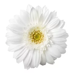 Zelfklevend Fotobehang White flower © Sergey Naumov