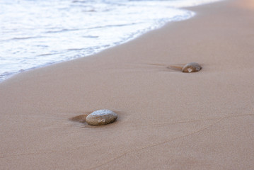 stones on the beach at sunset in Sri Lanka