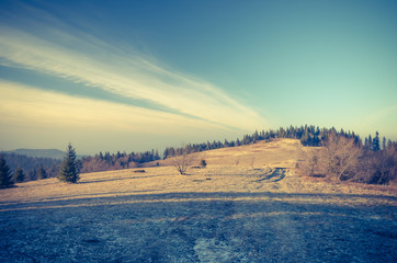 Autumn meadow in Carpathian mountains, Gorce, Poland