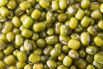 Mung bean