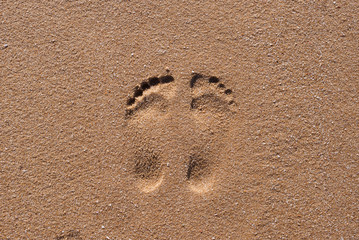 Footprints in the sand on a sunny beach