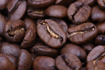 Closeup of coffee beans selective focus