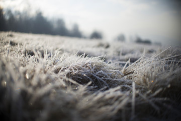 Snow on Frozen Grass