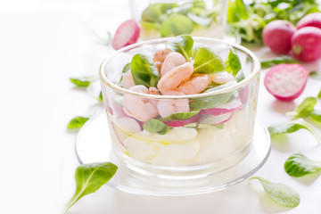 Fresh salad with shrimps and radish on white