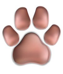 vector illustration. pink pads of a cat. traces of a kitten