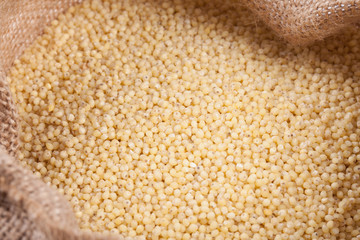 Millet Closeup