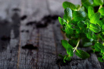Pepper mint on old wood background