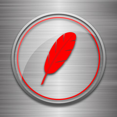 Feather icon
