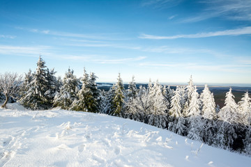 Thüringer Wald - Schneekopf