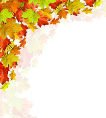 Naklejka na ściany i meble autumn leaves isolated on white background