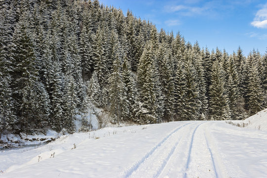 Fototapeta road in the winter forest