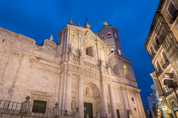 Obraz premium Catedral diocesana de Valladolid