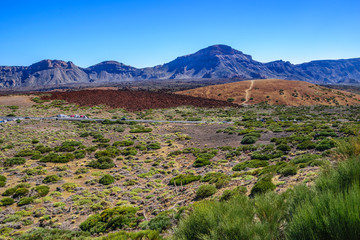El Teide National Park, Tenerife, Canary Islands, Spain