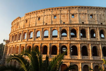 Fototapeta premium Colosseum at sunset in Rome, Italy
