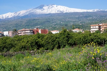 Fototapeta na wymiar Volcano Etna from Fiumefreddo, Sicily, Italy, 