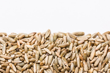 Oat seeds texture. Empty white copy space.