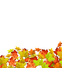 Naklejka na ściany i meble autumn leaves isolated on white background